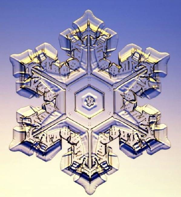 자연의 신비 - 눈결정 | 인스티즈