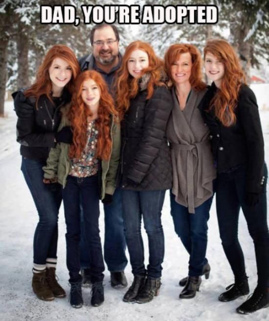 아빠가 입양됨 | 인스티즈