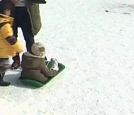 [아빠어디가] 준수가 크면 여자들에게 인기많을것같은 이유.jpg | 인스티즈