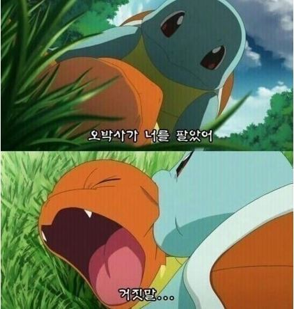 넌 내꺼야 파이리! | 인스티즈