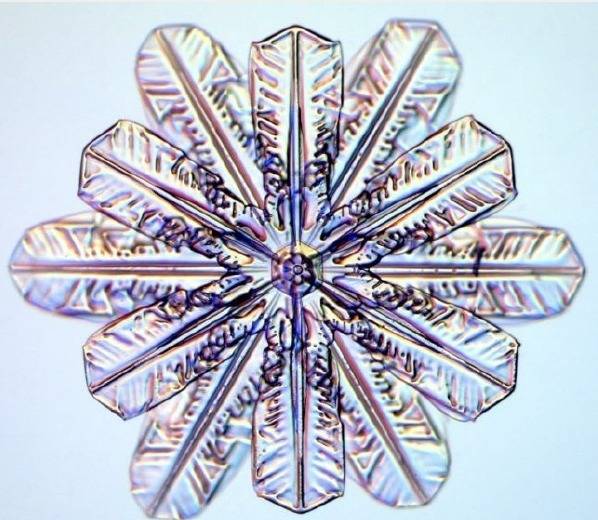 자연의 신비 - 눈결정 | 인스티즈