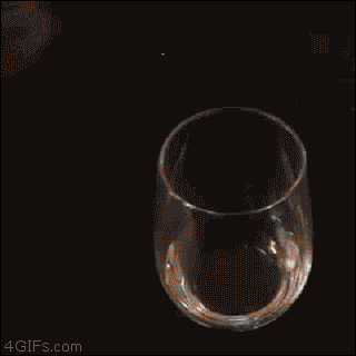 별거 아니지만 마음이 편해지는 움짤 | 인스티즈