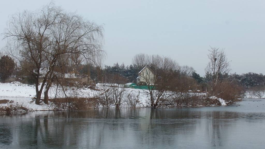 전북 전주 백석제 호수의 아름다운 겨울 풍경 (안구정화) | 인스티즈
