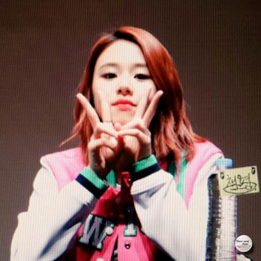 [트와이스] 아기맹수 채영이 짤 모음.gif | 인스티즈