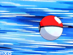 꼬부기들.GIF | 인스티즈