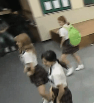 [트와이스] 아기맹수 채영이 짤 모음.gif | 인스티즈