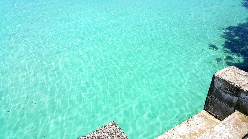 우리나라 물맑은 해수욕장 끝판왕 투탑! | 인스티즈