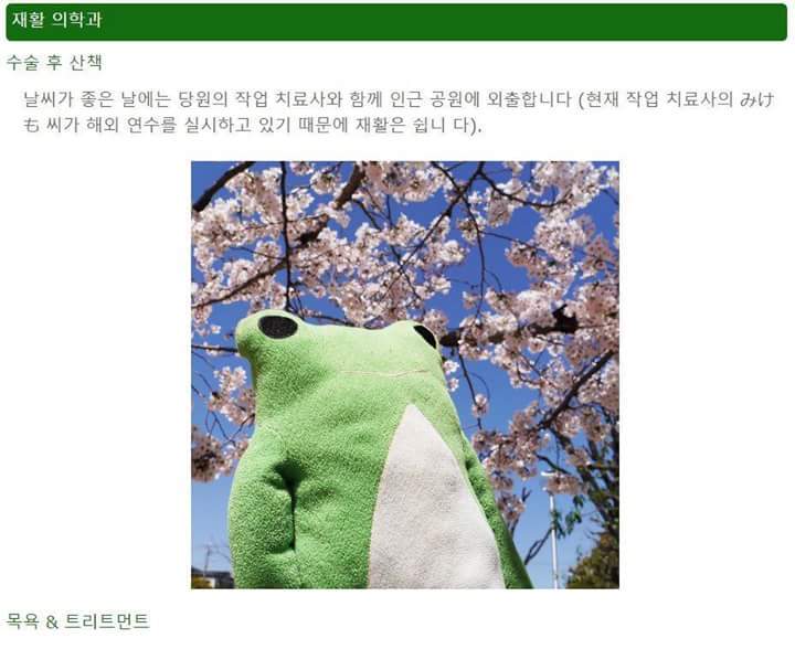 일본의 인형병원 | 인스티즈