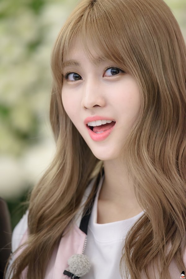 트와이스 좁발이 | 인스티즈