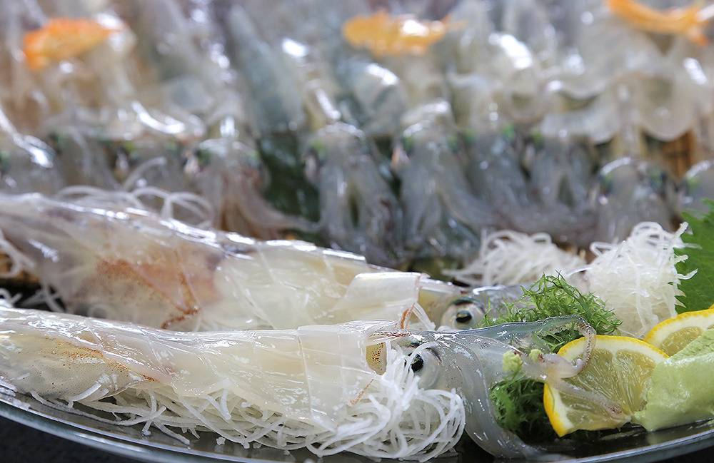 일본 오징어 회 | 인스티즈