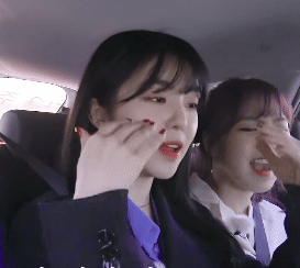 아이린의 기묘한 자동차 여행.gif | 인스티즈