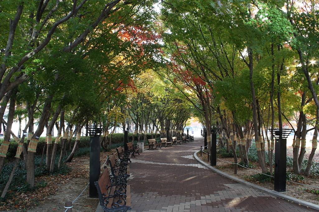 90년대까지 대한민국 제 3의도시로 불렸던 도시 | 인스티즈