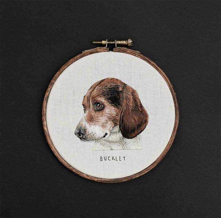 자수로 만든 반려동물 극사실주의 작품.jpg | 인스티즈
