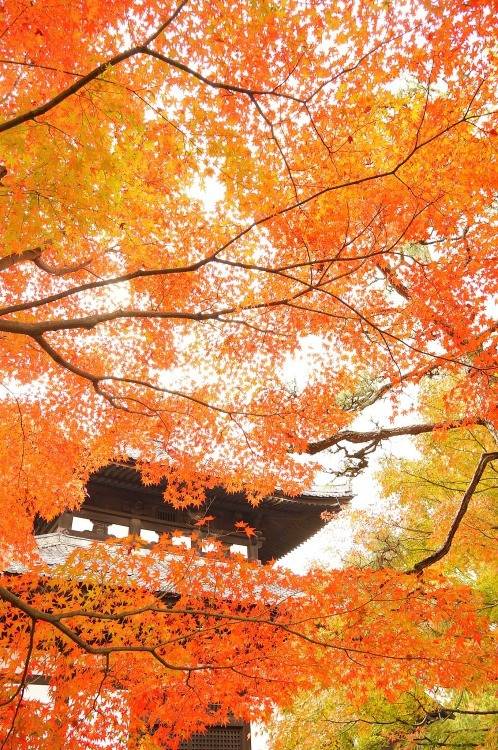  걷고 싶은 거리 고르기 | 인스티즈