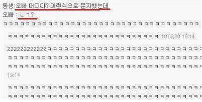 현실 남매들의 대화 | 인스티즈