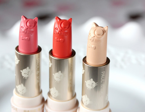 무한 소장욕구 들게하는 화장품 폴 앤 조(paul & joe) 코스메틱 (feat. 고양이덕후 소환) | 인스티즈