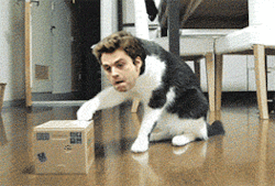 [세바스찬스탠] 코믹콘에서도 밈(meme)의 제왕 세즈 | 인스티즈