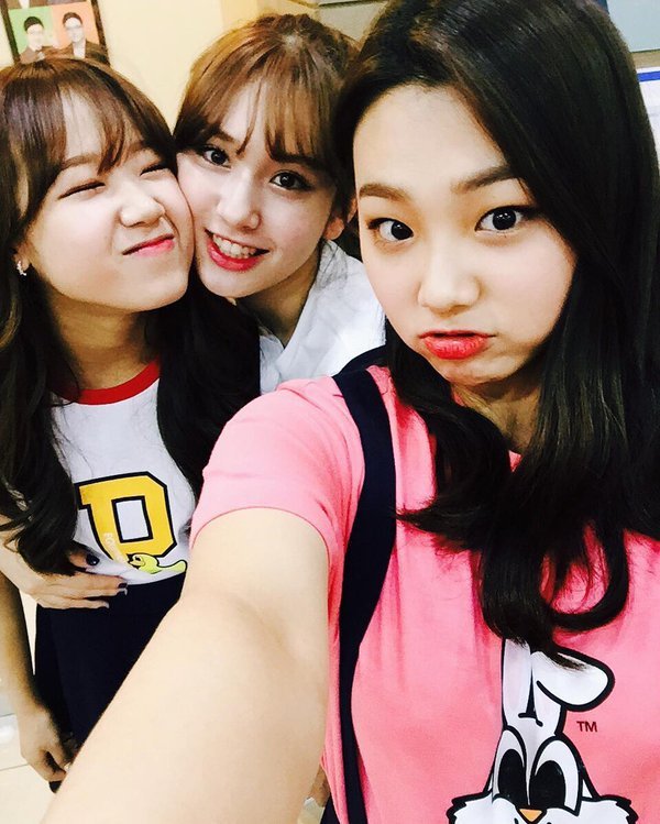 강미나 팬들의 끊이지 않는 논쟁 | 인스티즈