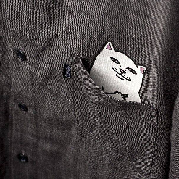 [ripndip] 유명 고양이 아이템 | 인스티즈