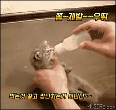 해지마~ 해지마~ 먹을거가지고 장난치지마냥 | 인스티즈