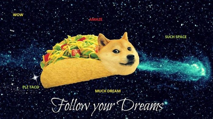 견종 이야기 - 시바견 | 인스티즈