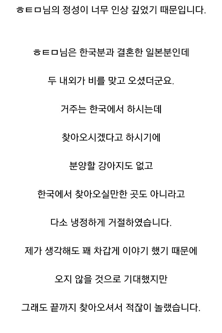 더 이상 한국인에겐 시바견 분양 안하겠다는 일본인 | 인스티즈