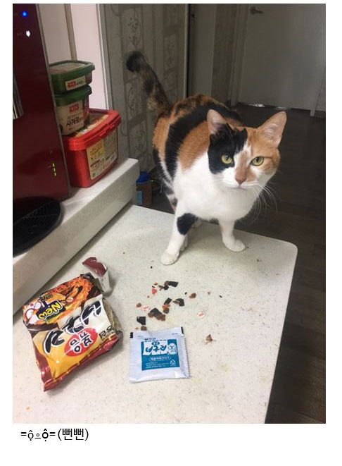 냥아치 인성.jpg | 인스티즈