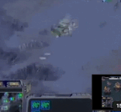 [스타1] 임요환의 테테전 판짜기 수준 ㄷㄷㄷㄷ.gif | 인스티즈