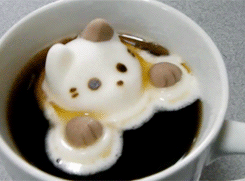 시룸주의] 고양이 녹는 모습 | 인스티즈