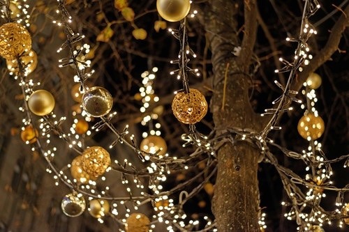  걷고 싶은 거리 고르기 | 인스티즈