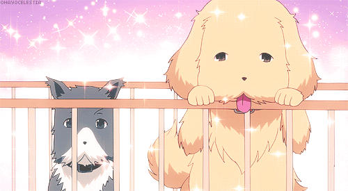 2D 강아지 (움짤多/ | 인스티즈