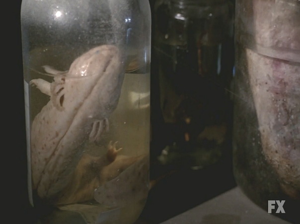 미드) 아메리칸 호러 스토리(아호스) 시즌1 1-1 *무서움, 깜놀, 혐짤주의* | 인스티즈