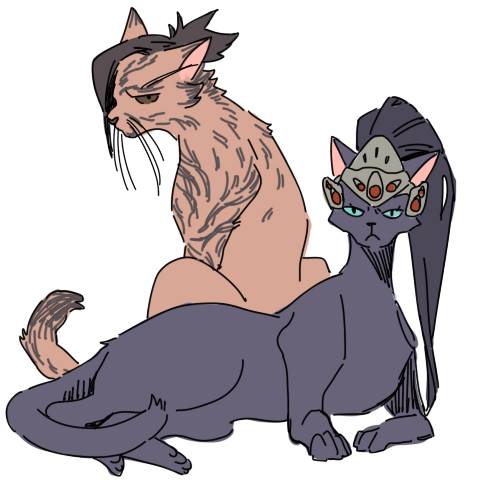 [오버워치] 새로 추가된 메이 하이라이트 인트로+야옹이 | 인스티즈