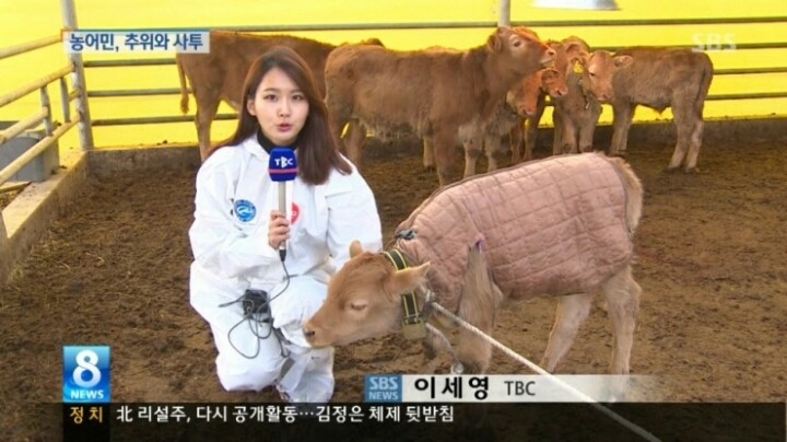 대구 tbc 미녀 기자.jpg | 인스티즈