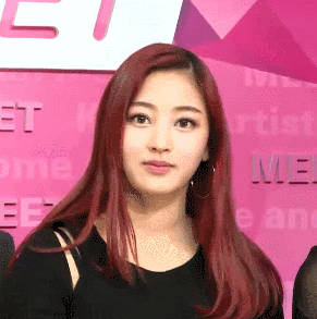  개인적으로 트와이스 멤버 중 제일 예쁘다고 생각하는 멤버 | 인스티즈