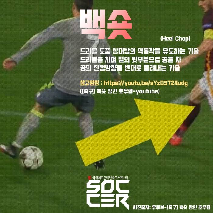 SNS관리자 맘대로뽑은 알아두면 유용한개인기들 | 인스티즈