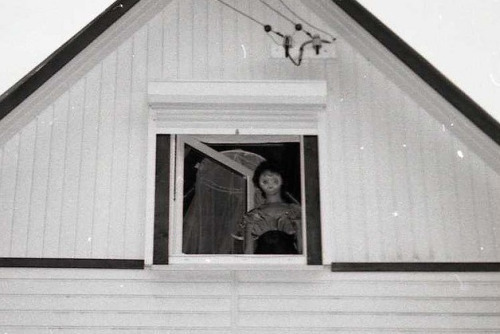 괴이하고 공포스러운 사진들.gif (혐오주의) | 인스티즈