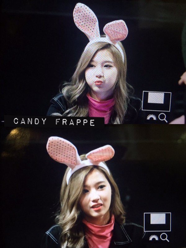 트와이스 사랑둥이 사나 .jpg | 인스티즈