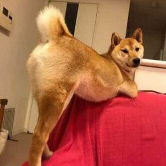 와 개 섹시하네 | 인스티즈