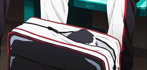 2D 강아지 (움짤多/ | 인스티즈