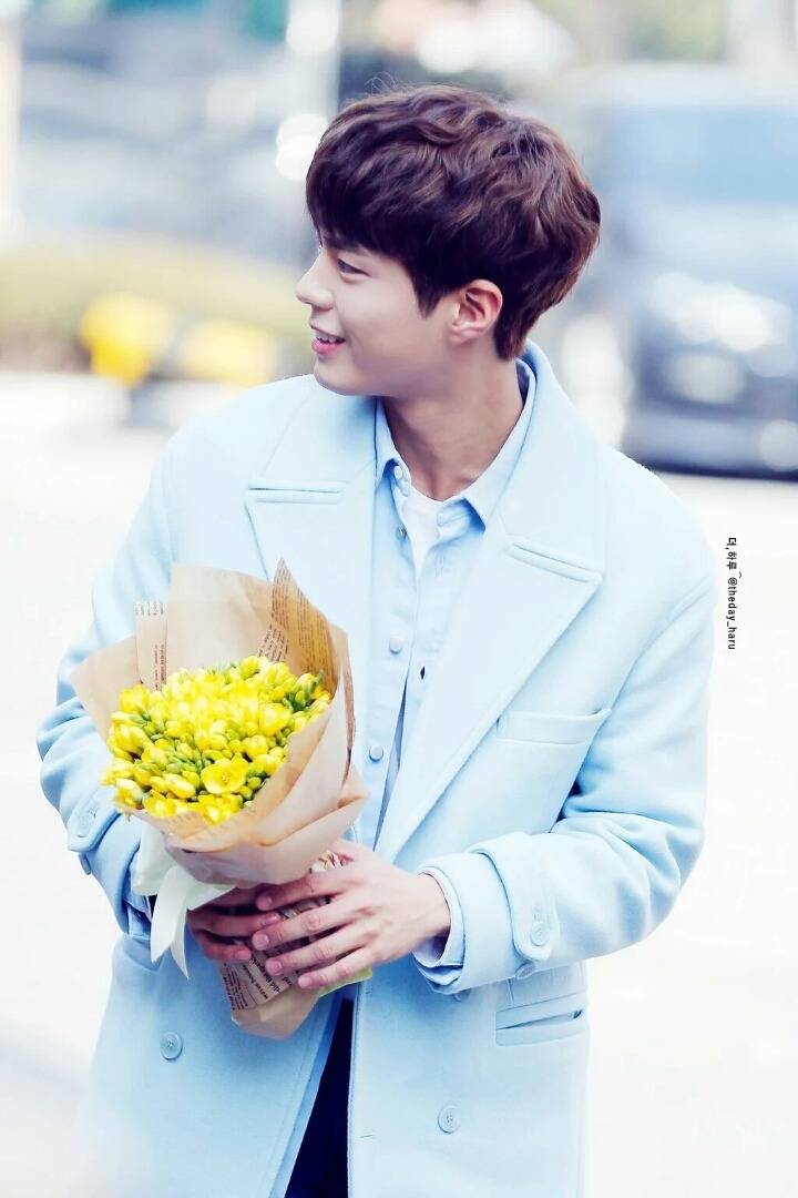 박보검 옆선.jpg | 인스티즈