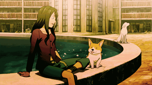 2D 강아지 (움짤多/ | 인스티즈