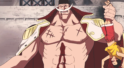 원피스 에드워드 뉴 게이트 .GIF | 인스티즈