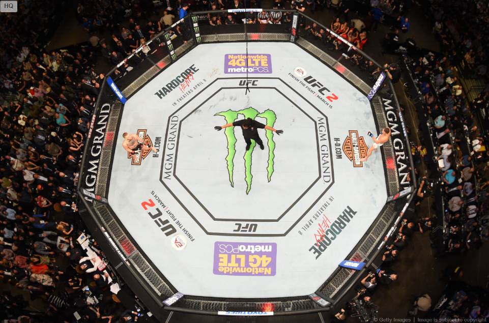 코너 맥그리거 vs 네이트 디아즈 경기 사진 (고화질) | 인스티즈