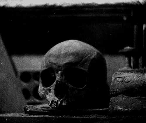 괴이하고 공포스러운 사진들.gif (혐오주의) | 인스티즈