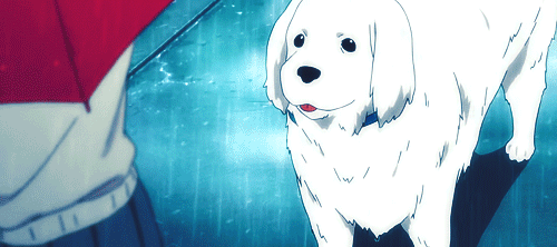 2D 강아지 (움짤多/ | 인스티즈