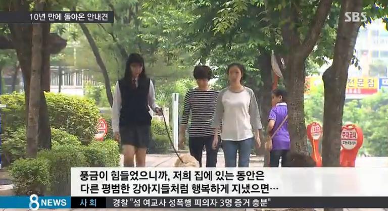 한국.. 10년간 맹인 안내견으로 살아오다 은퇴한 풍금이.. | 인스티즈