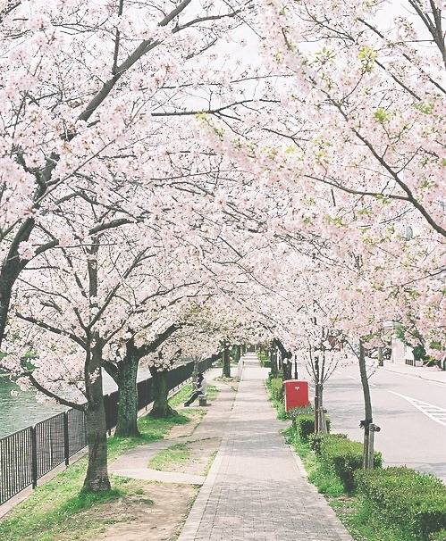  걷고 싶은 거리 고르기 | 인스티즈