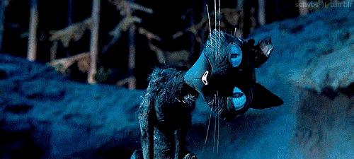 아는 사람은 아는 진짜 재밌는 애니메이션 (약놀람주의) | 인스티즈