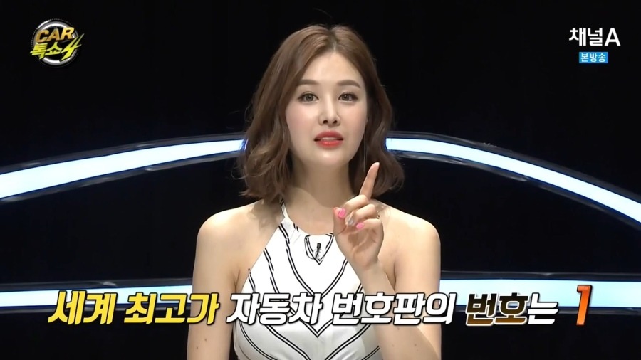 세계 최고가 자동차 번호판의 가격.jpg | 인스티즈